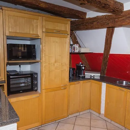 Charmant Appartement Alsacien Ribeauvillé Exterior foto