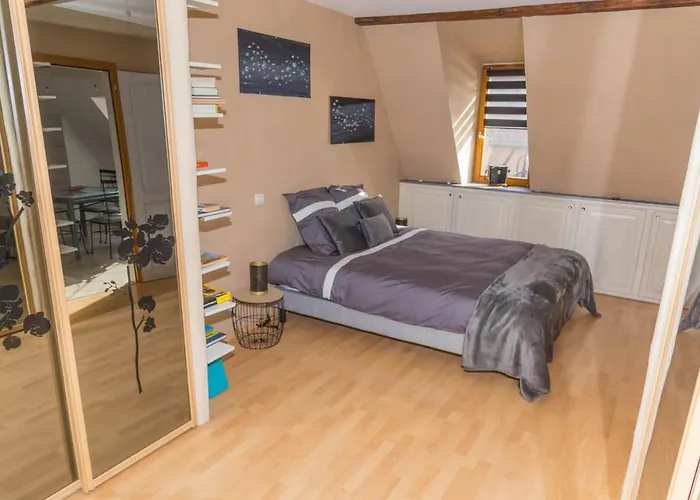 Charmant Appartement Alsacien